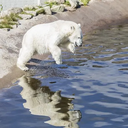 Ranua Resort Holiday Villas リゾート 4*