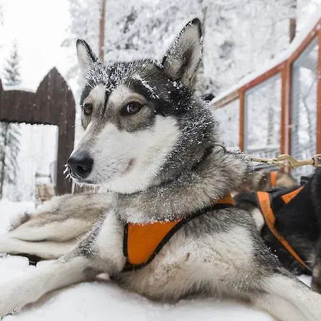 Ranua Resort Holiday Villas Resort 4*