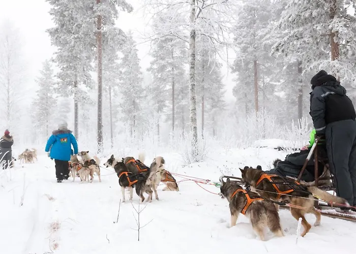 Ranua Resort Holiday Villas Semesteranläggning (resort)