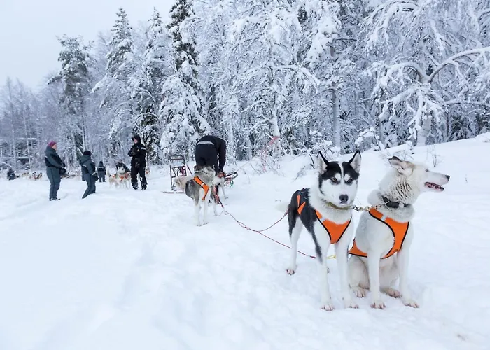 Ranua Resort Holiday Villas Semesteranläggning (resort)