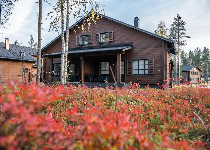 度假村 古洛古洛度假村酒店 4*