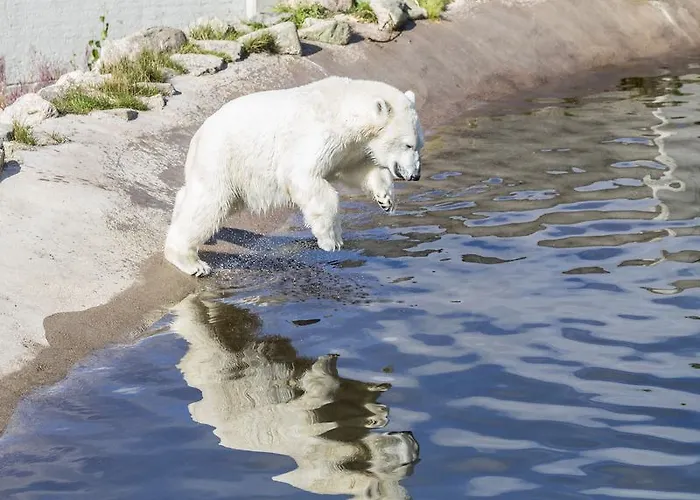 古洛古洛度假村酒店 度假村 4*