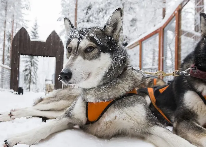 Ranua Resort Holiday Villas Semesteranläggning (resort) 4*