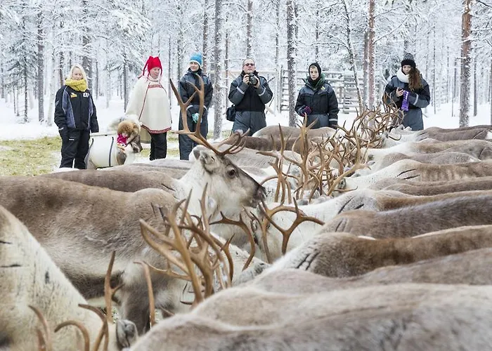 Semesteranläggning (resort) Ranua Resort Holiday Villas Ranua