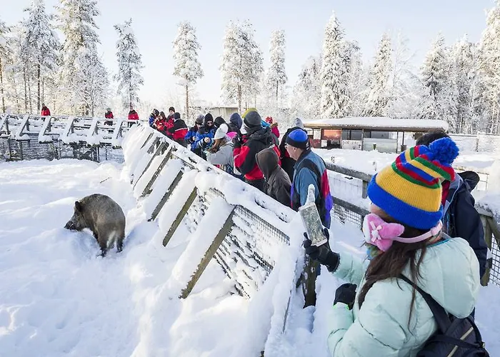 Ranua Resort Holiday Villas Semesteranläggning (resort) Ranua