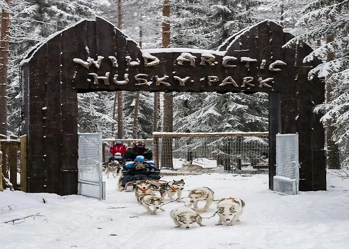 古洛古洛度假村酒店 度假村